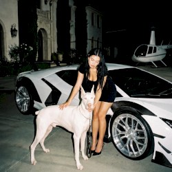 LUXURY
