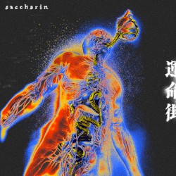 運命街