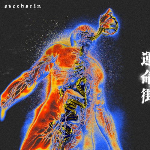 運命街