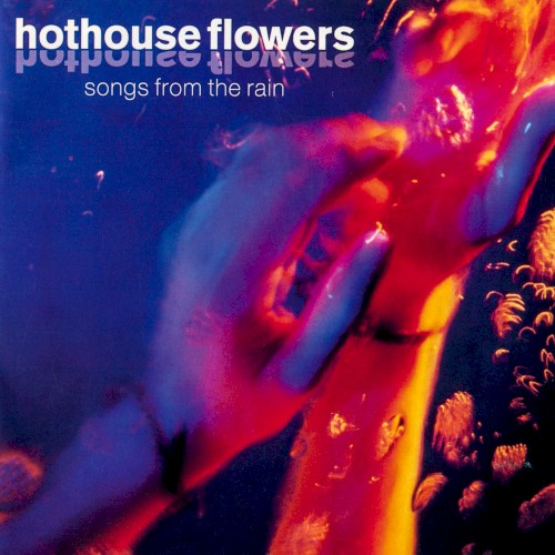 Songs From the Rain