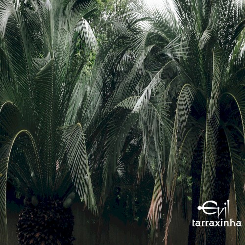 Evil Tarraxinha