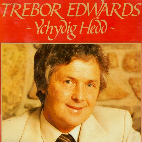 Ychydig Hedd