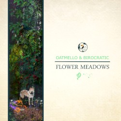 Flower Meadows