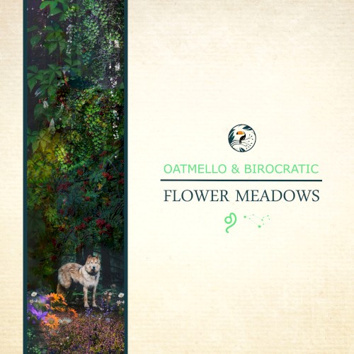 Flower Meadows