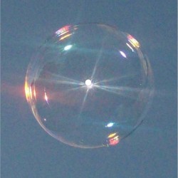 Shine