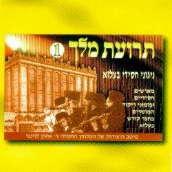 Terias Melech 1
