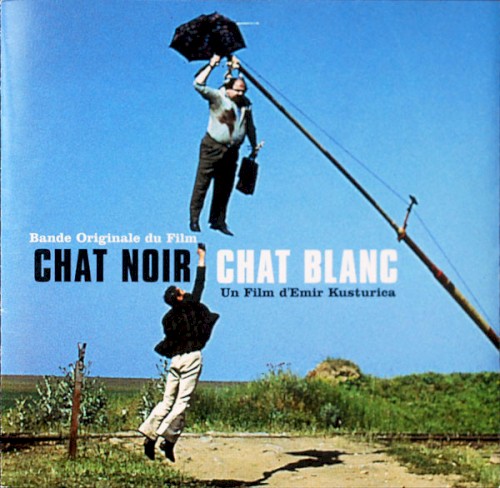 Chat Noir Chat Blanc