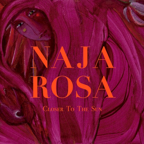 Closer to the Sun