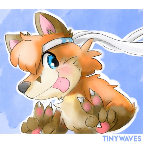 Wonderland Dream