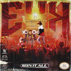 Seen It All (Friction Remix)