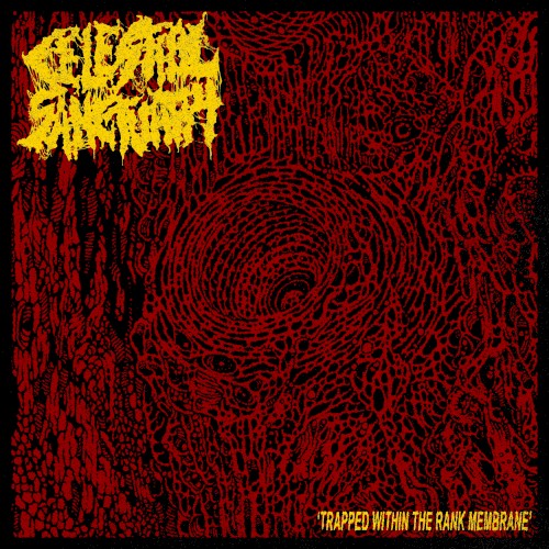 Trapped Within the Rank Membrane (split version)