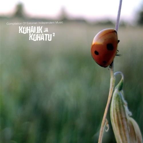 Kohalik ja Kohatu 2