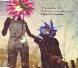 Tim Delaughter of ‘The Polyphonic Spree’ Brings You… A Splash of Sunshine