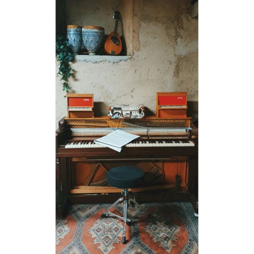 Selected Piano Works, Vol. 1