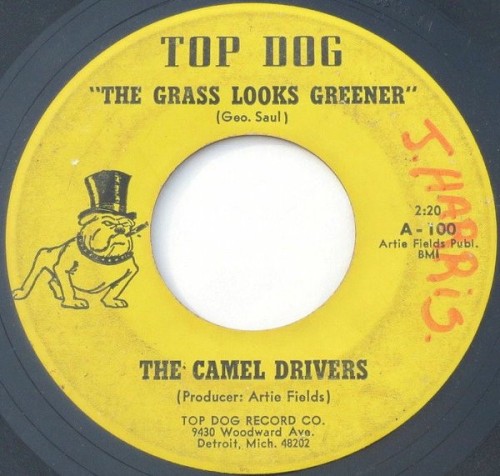 The Grass Looks Greener / It's Gonna Rain