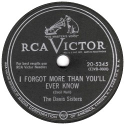 I Forgot More Than You'll Ever Know / Rockabye Boogie