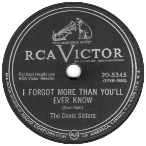 I Forgot More Than You'll Ever Know / Rockabye Boogie