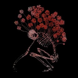 Folk Aesthetic 1996-2006
