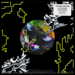 Strange Feelings (Solomun remix)