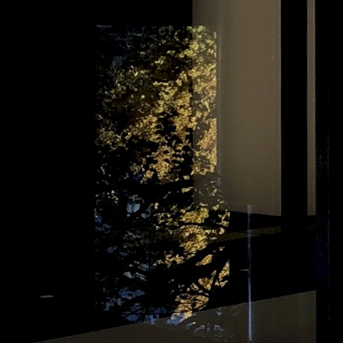 秋風 (Electric Autumn) -Live Recordings-