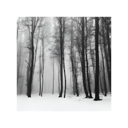 Endless Song IV
