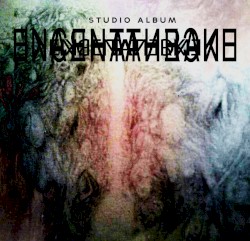 Studio Album