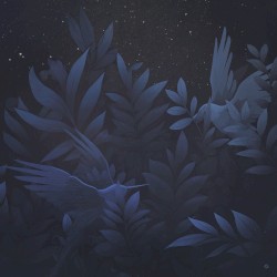 Two Night Birds