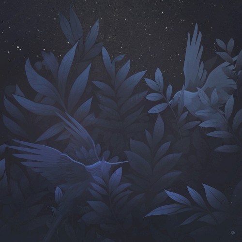 Two Night Birds
