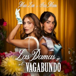 Las damas y el vagabundo