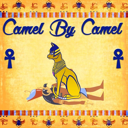 Camel by Camel