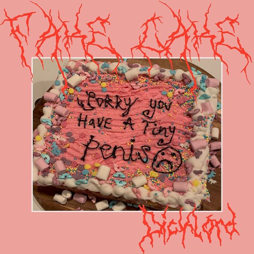 Fake Cake