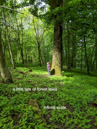 A Little Tale of Forest Lewis