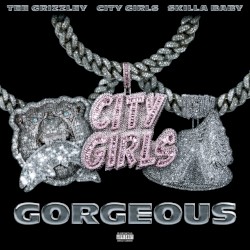 Gorgeous (remix)