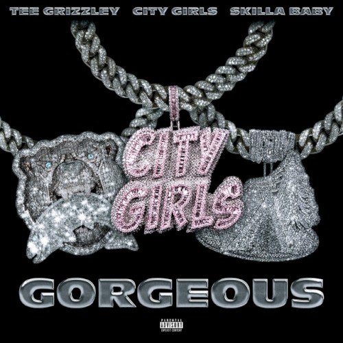 Gorgeous (remix)