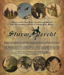 Sturmpercht
