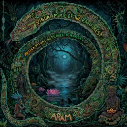 Visual Music of the Rainforest