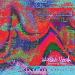 Wasted Youth