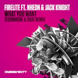What You Want (Technikore & Suae remix)