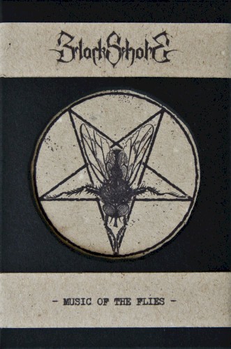 Music of the Flies