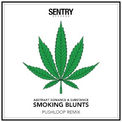 Smoking Blunts (Pushloop remix)