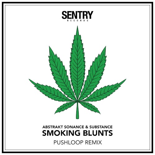 Smoking Blunts (Pushloop remix)