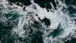 NIGHT WAVES