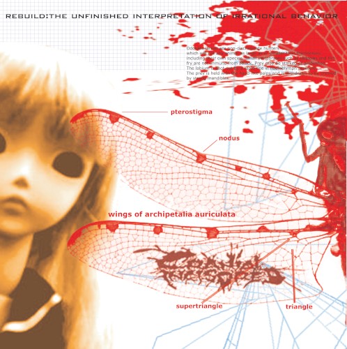 Rebuild: The Unfinished Interpretation of Irrational Behavior