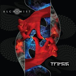 Tripsis