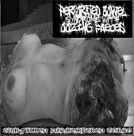 Cum Filled Dismembered Torso