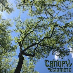 Canopy