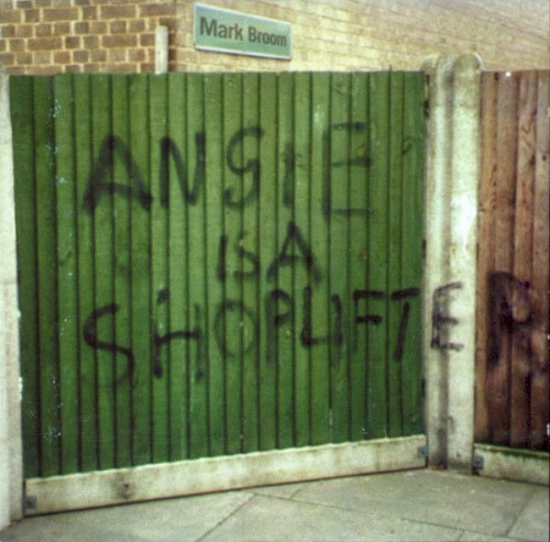 Angie Is a Shoplifter