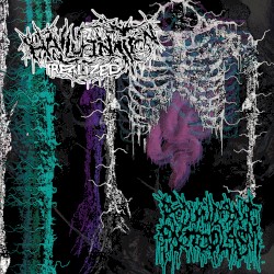 Hallucination Realized / Redundant Protoplasm