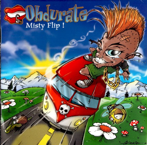 Misty flip