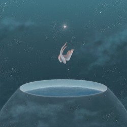 No Wind